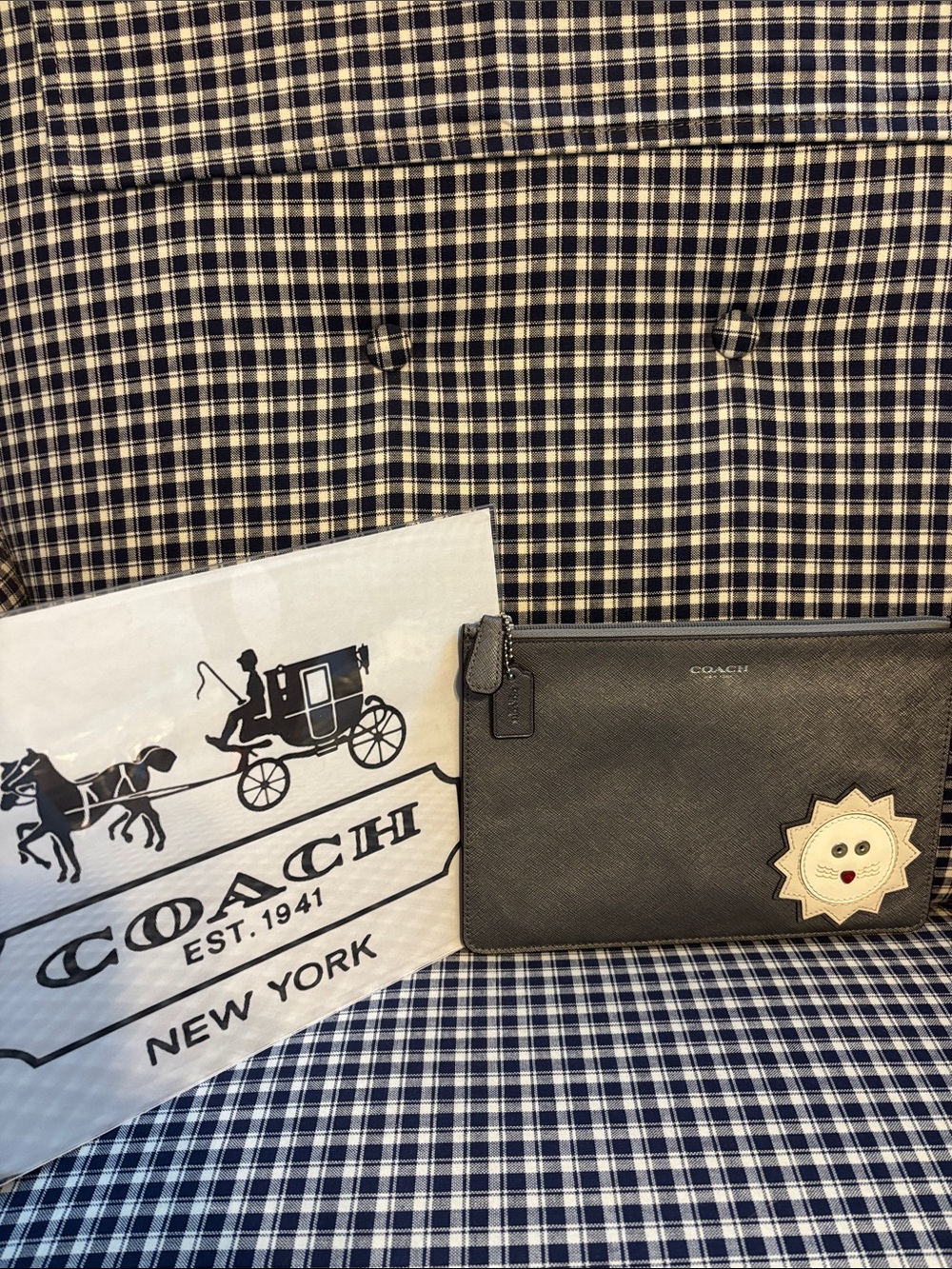 Coach Pewter Darcy lion appliqué Leather Zip Pouch